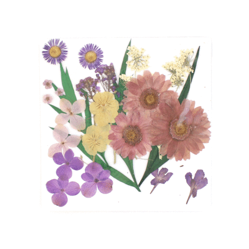 PRESS FLOWER (purple)