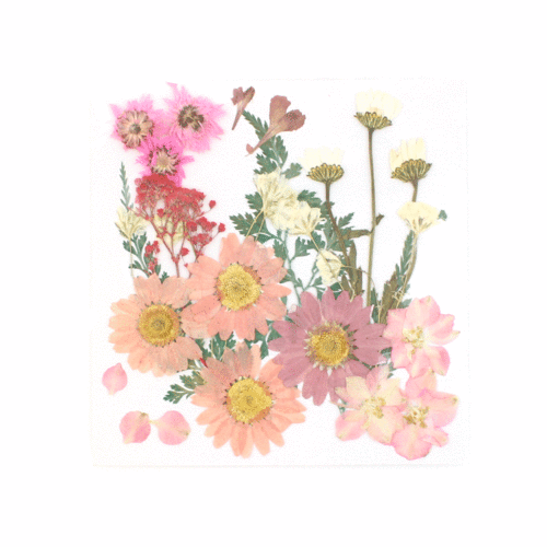 PRESS FLOWER (pink)